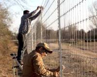 Penrith Williams Temporary Fence image 3